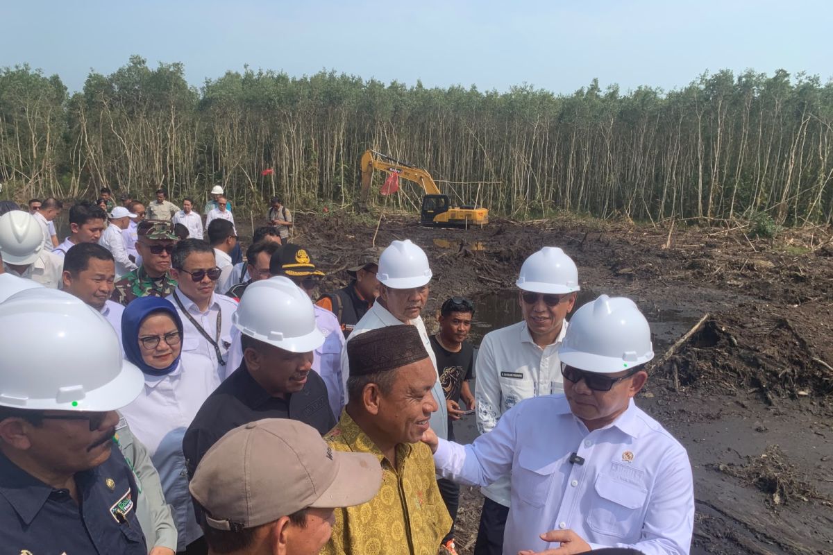 KSP Dudung urges South Sumatra farmers not to convert newly developed rice fields