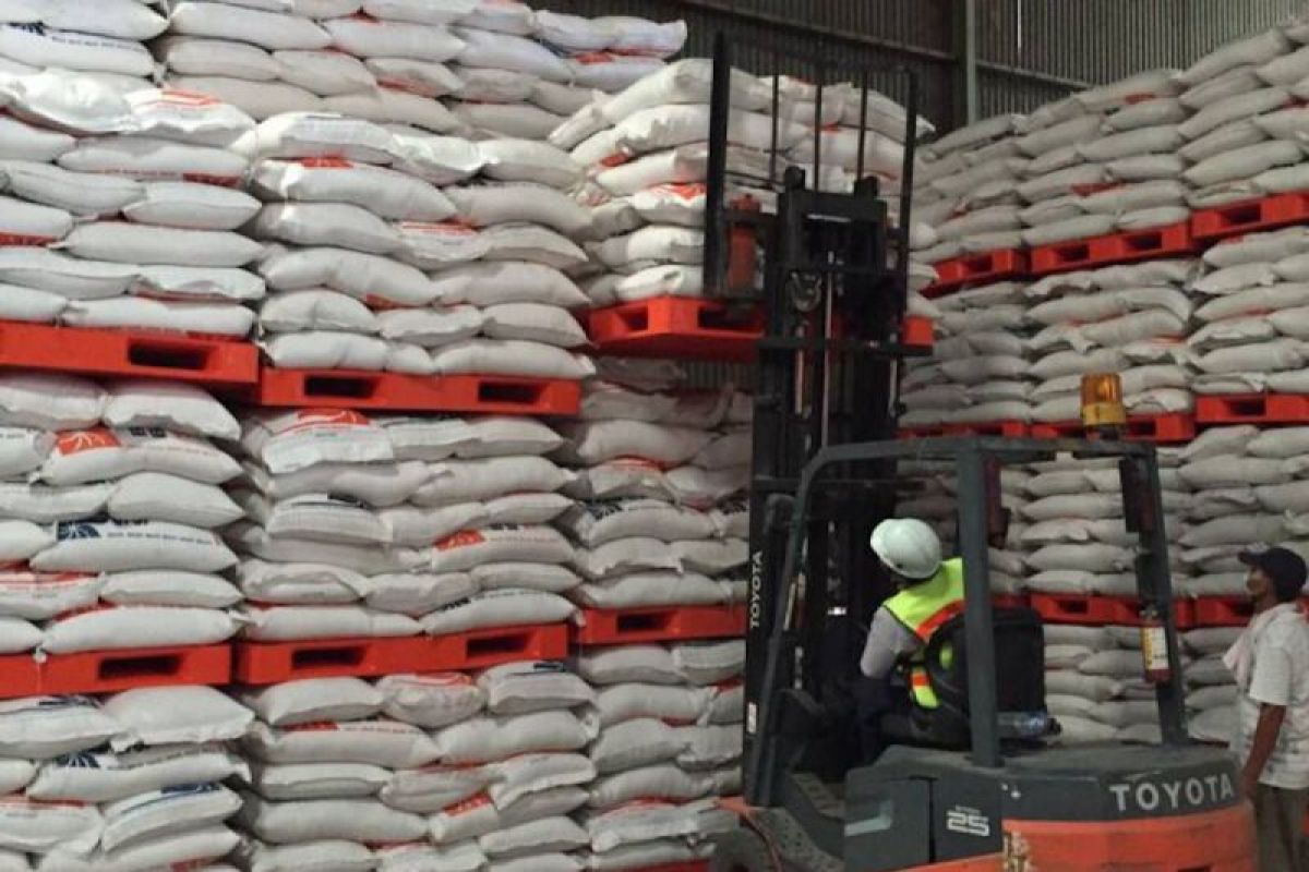 KTNA Supports Rice Export Plan to Singapore to Maintain Harvest Value