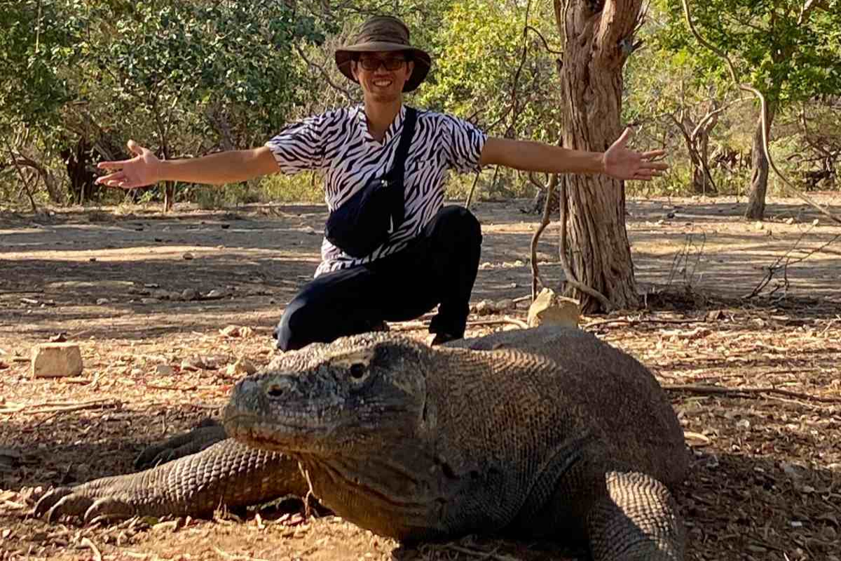 UGM Discovers Endemic Tapeworm in Komodo Dragons at Komodo National Park