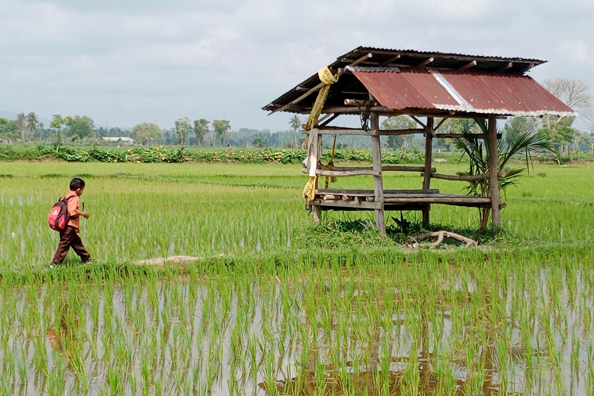 Aceh Experiences Transitional Season, 34°C Heat Interspersed with Light Rain