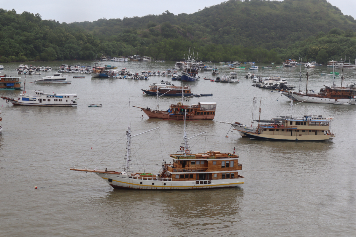 West Manggarai Government Mandates Tax Clearance for Tourist Boats in Labuan Bajo