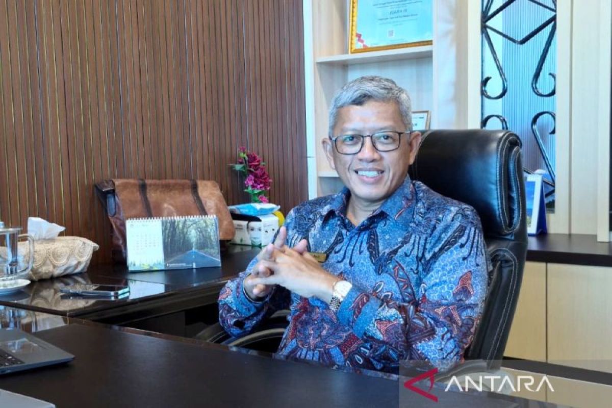 Gov't disburses Rp2.29T regional funds to Southwest Papua as of May
