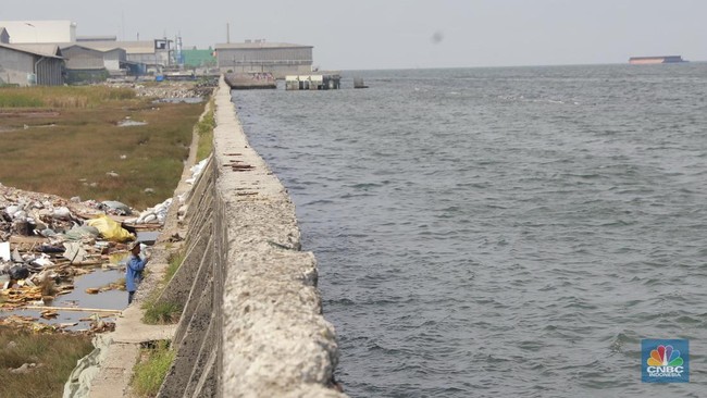 Signs of Climate Catastrophe Emerge in the Atlantic Ocean, Effects Visible as Far as Indonesia