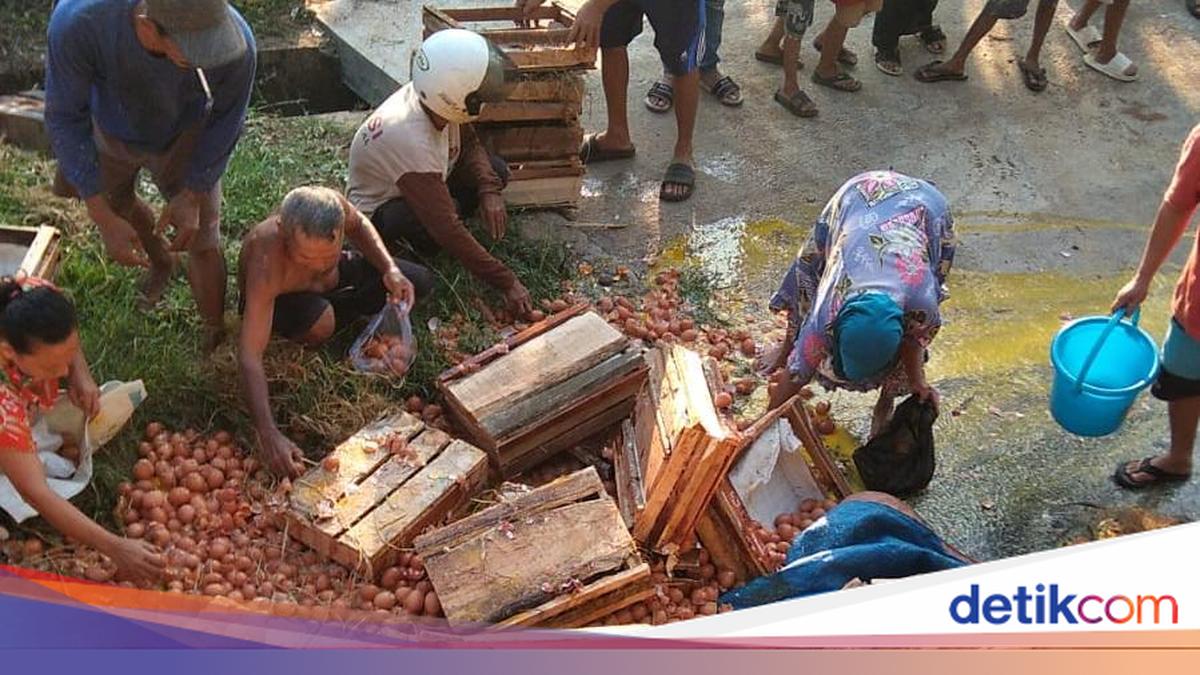 Viral Video Shows Purbalingga Truck Carrying 1.3 Tonnes of Eggs Looted by Residents After Accident