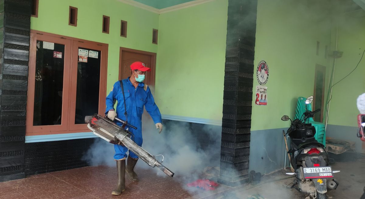 Cirebon Intensifies 'Jumantik' Programme to Suppress Dengue Fever Spread