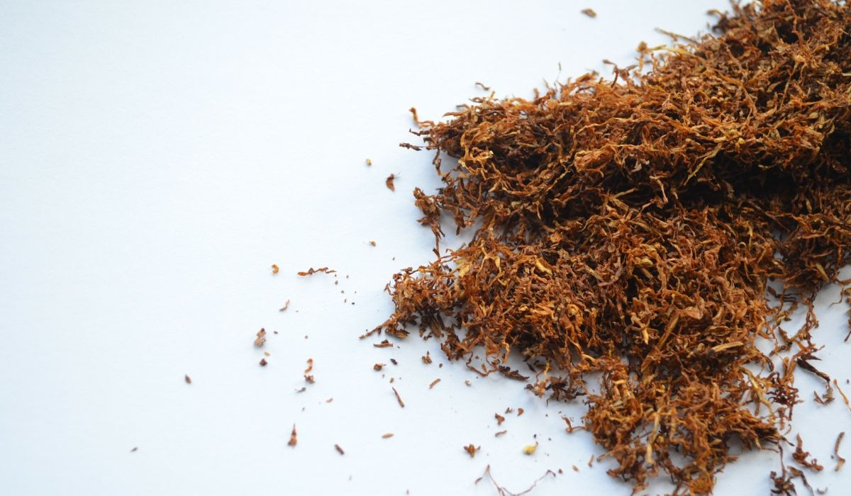 Study Highlights Nicotine's Potential for Cognitive Function, Risk Literacy Still Needed
