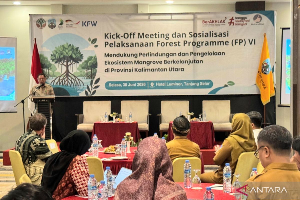 Government Forges International Cooperation for Mangrove Rehabilitation