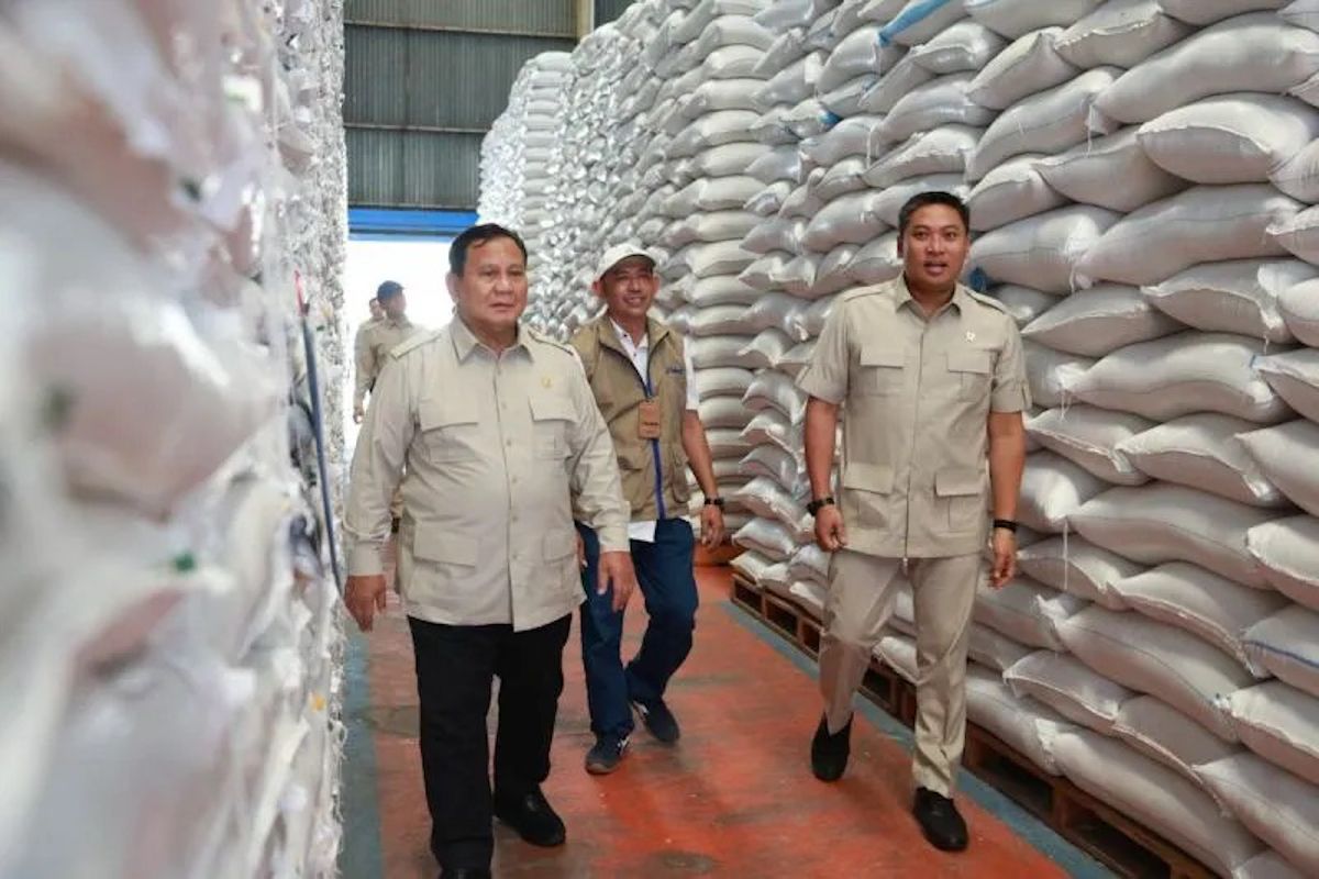 Indef: Rice Export Plan to Singapore an Opportunity to Absorb Indonesia's Surplus
