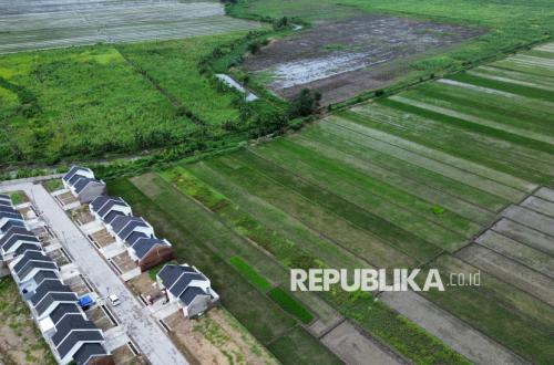 Rice Fields: An Investment in Life