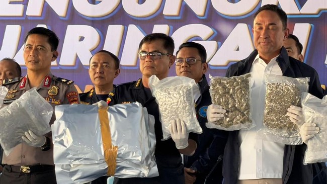 New Modus Operandi of Drug Lords: 3.37 Tonnes of Marijuana Disguised in Suitcases and Mattresses