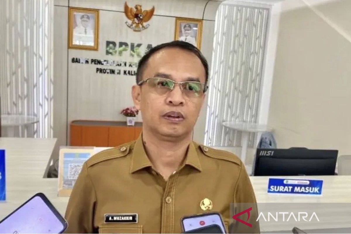 East Kalimantan Optimistic B50 Implementation Will Boost Smallholder Palm Oil Absorption