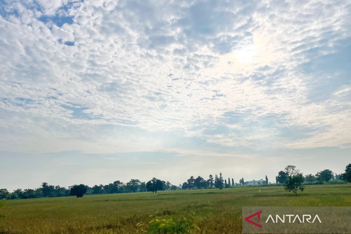 Cirebon Regency Imposes Drought Emergency Alert Status Until September