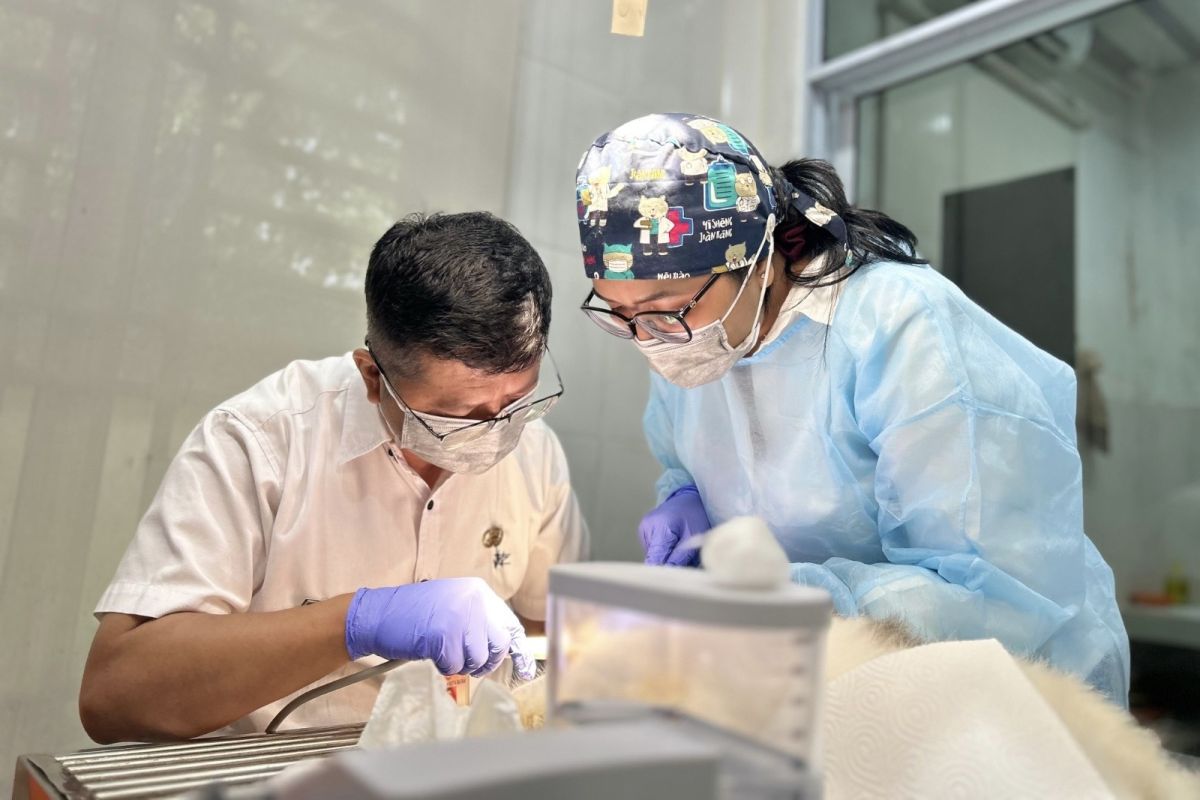 Batam Animal Health Centre Eases Access to Pet Sterilisation via Online Booking