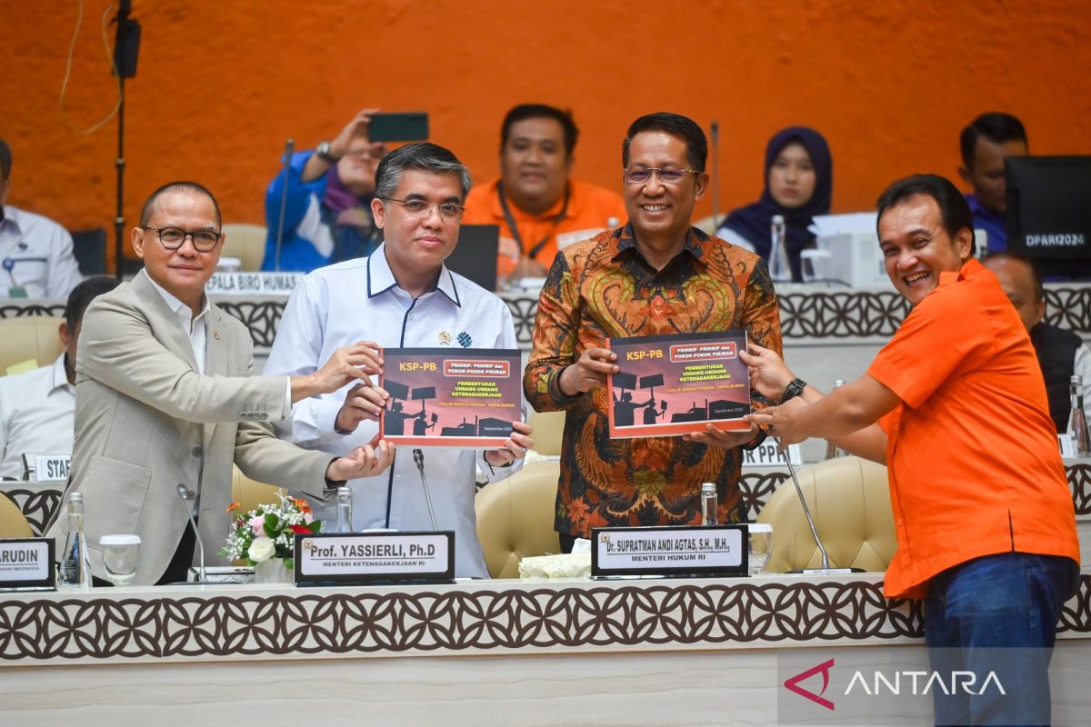 Labour Party Pushes for New Employment Law Following Constitutional Court Ruling