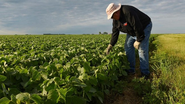 250 Years of the US: From a Nation of Farmers to Global Food Superpower