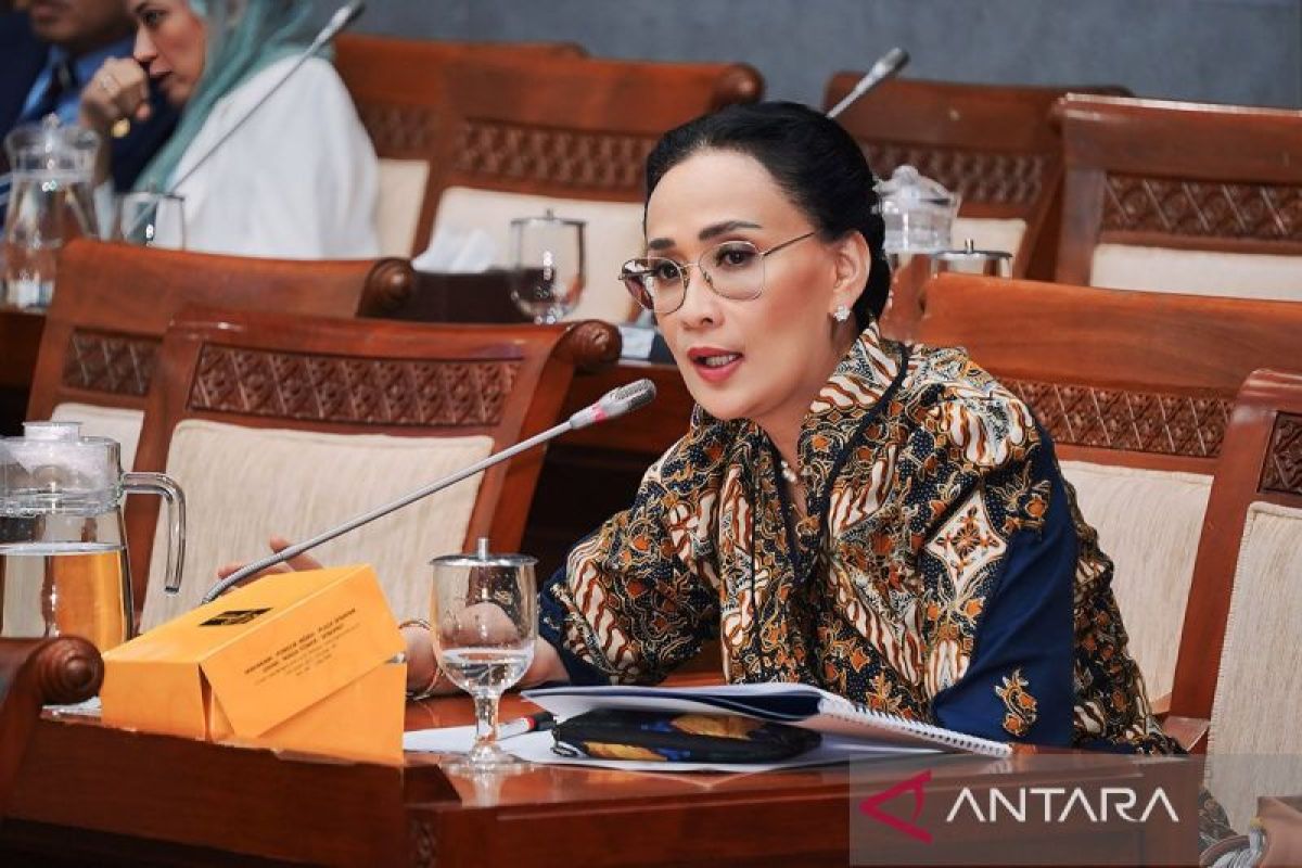 DPR Member Condemns Armed Criminal Group Attack on Civil Aviation in Papua