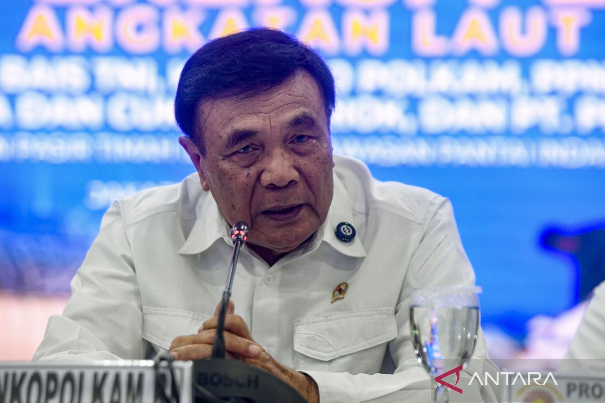 Coordinating Minister Condemns Murder of US Pilot in Papua Highlands