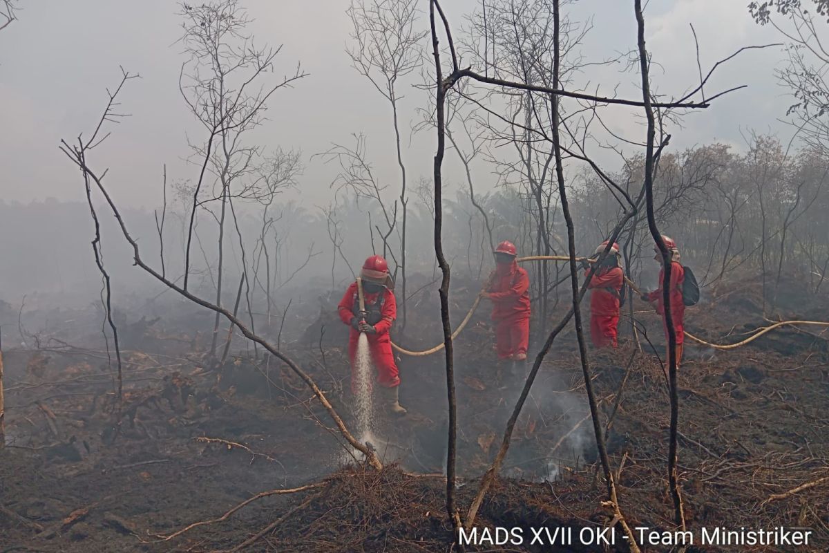 Manggala Agni Deploys Additional Personnel to Tackle Forest and Land Fires in South Sumatra's OKI