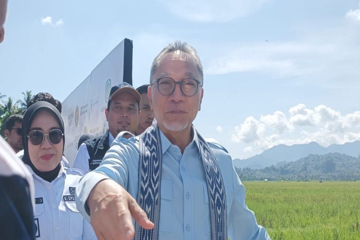 Coordinating Minister for Food distributes rice aid to 25,000 recipients in Mamuju