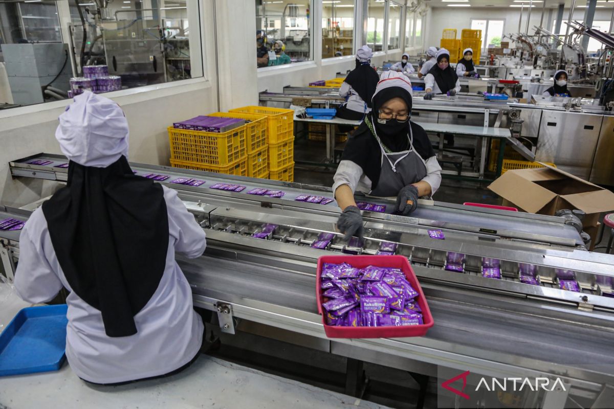 Economist says Indonesia's export fundamentals remain strong despite May contraction