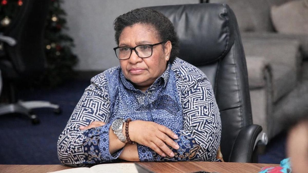 Deputy Home Affairs Minister Condemns Papua Plane Arson, Warns of Impact on Remote Communities