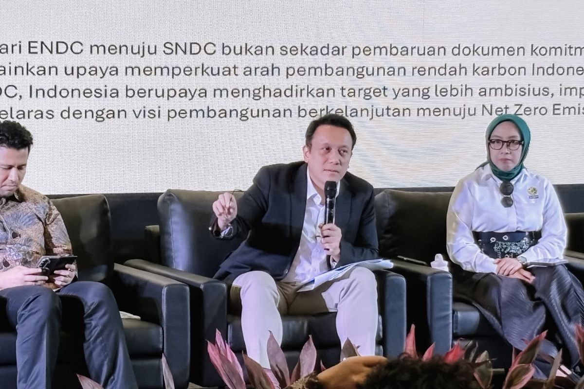 Indonesia urges stronger Asia-Pacific climate action at UNESCAP