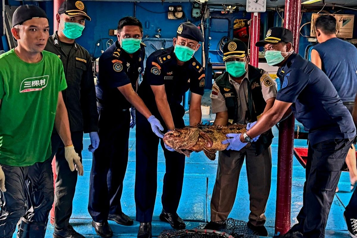 Natuna fish exports hit Rp2.9 billion with zero rejections