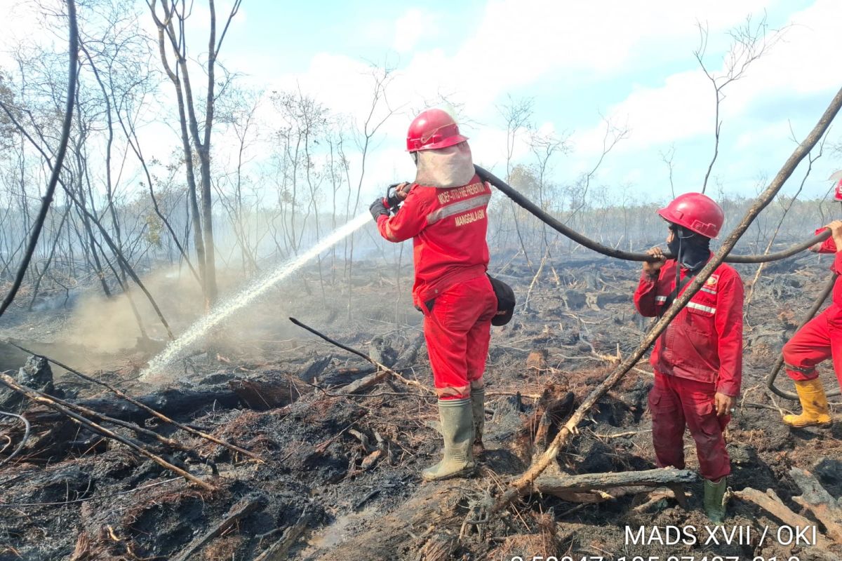 BNPB Tackles Forest and Land Fires Scorching Thousands of Hectares in West Kalimantan, Riau, and South Sumatra