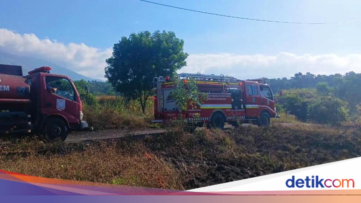 Four Hectares of Land in Kubu, Karangasem, Engulfed by Fire
