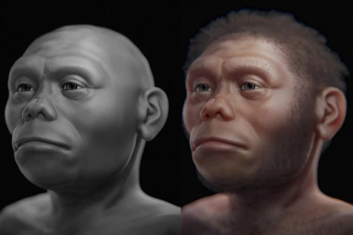 New Study Reveals Homo floresiensis Likely Not a Big-Game Hunter