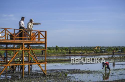 South Papua Becomes New Mainstay for National Food Production