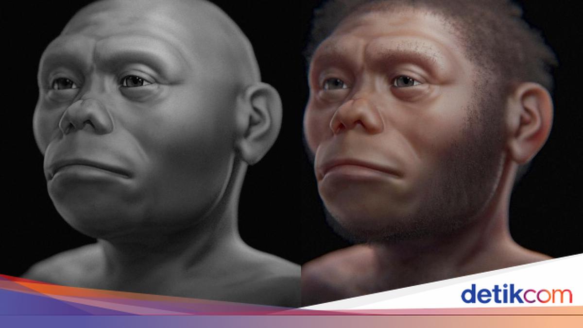 Flores 'Hobbit' Humans Were Actually Scavengers of Elephant Carcasses Left by Komodo Dragons