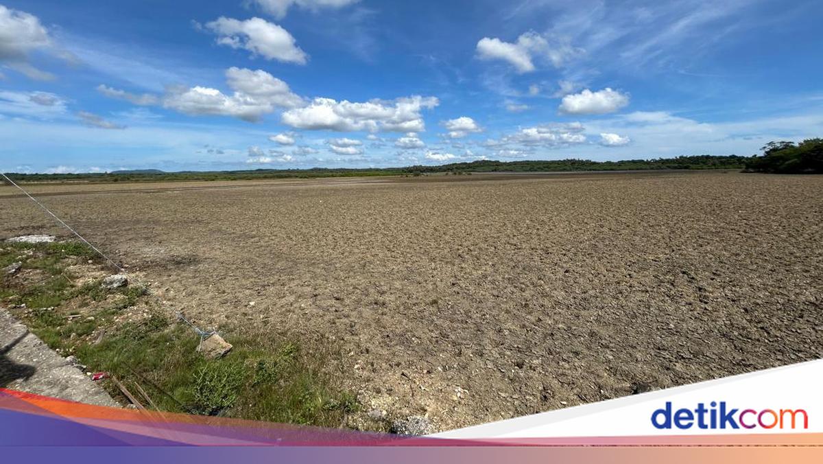 KKP Partners with State-Owned Enterprise to Manage Salt Industry in Rote Ndao, NTT