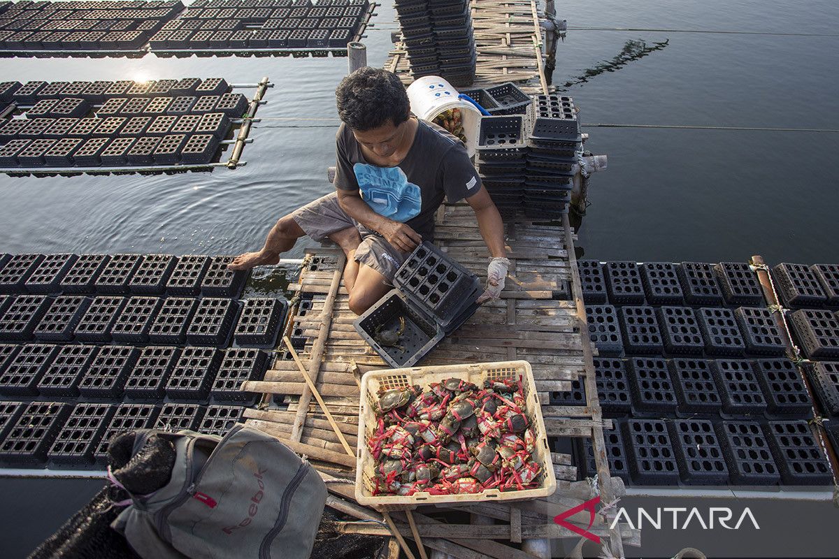 Trade Ministry Identifies 2,616 Villages with Export Potential