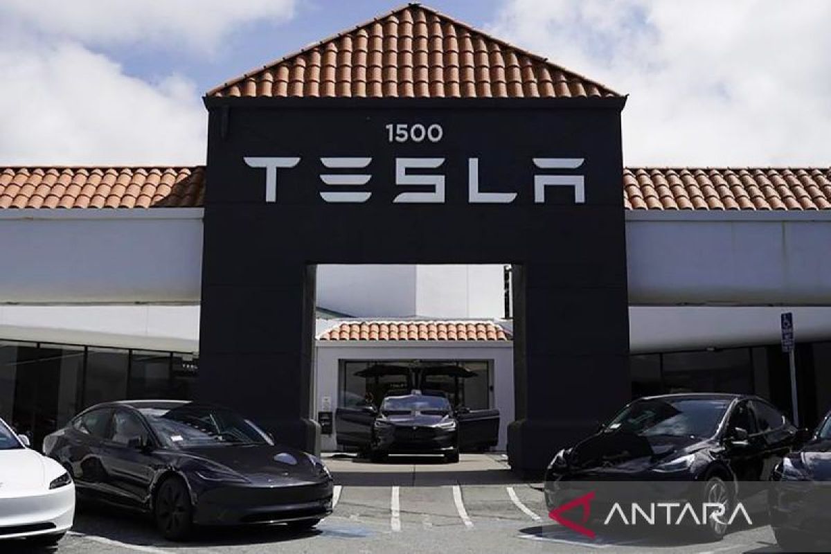 Tesla leads imported car sales in South Korea in first half