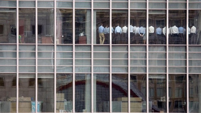 High-Salary Professions Face Growing Threat of Unemployment