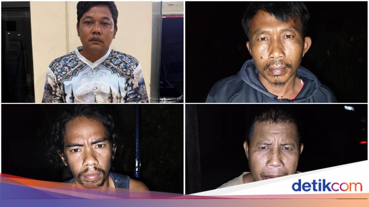 Mesuji Regent Demands Proportional Punishment for Tapir Killers in Lampung as Deterrent