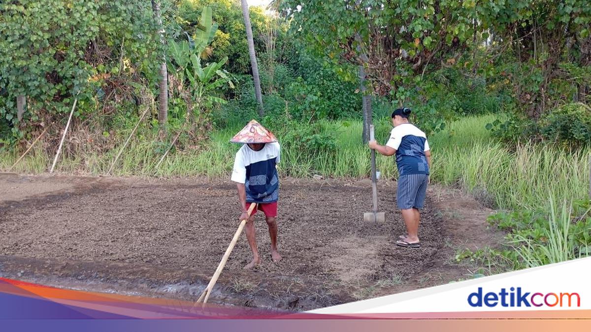 Astra Mentors Les Village in Bali to National Tourism Award Victory