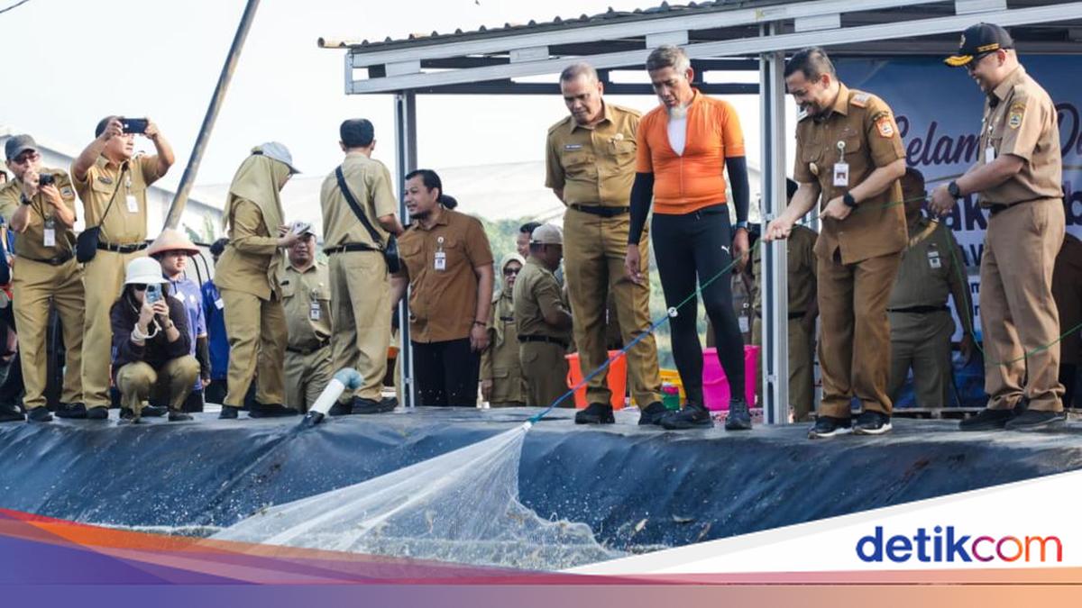 Central Java Government Proves Closed System Technology Success in Shrimp Harvest