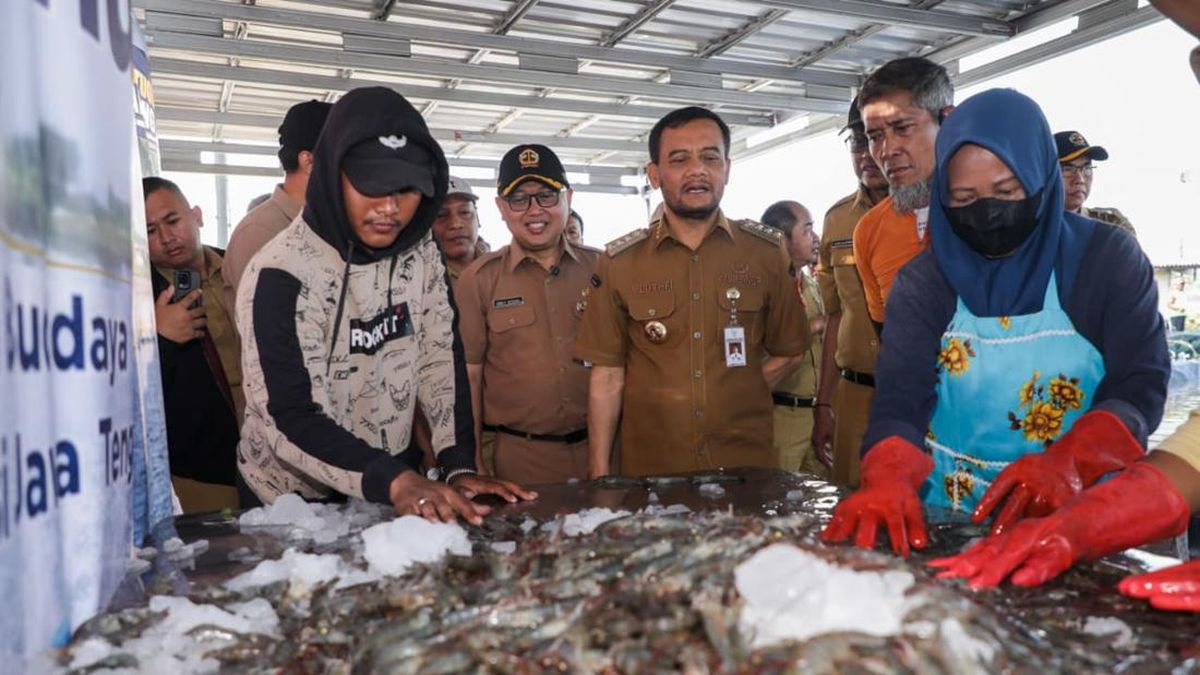 Central Java Government Successfully Harvests Shrimp in Industrial Zone