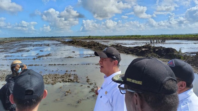 Transforming Merauke into a Rice Bowl: Thousands of Hectares Converted to Paddy Fields