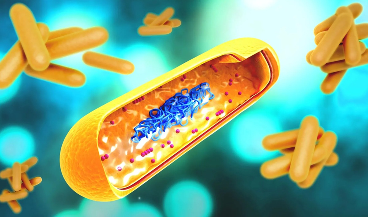 Johns Hopkins Nasal Spray Vaccine Effective in Preventing TB Relapse
