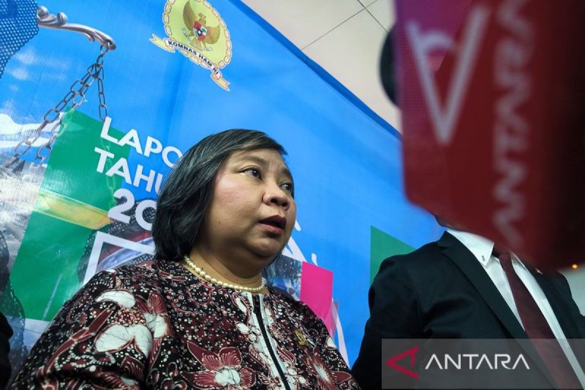 Komnas HAM urges humanitarian dialogue to end Papua conflict