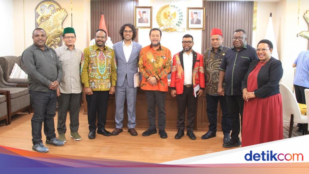 DPD RI Pushes for Comprehensive Solutions to Achieve Peace in Papua