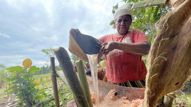 Eastern Indonesia's Sago and Tuber Consumption Declines as Rice Expands