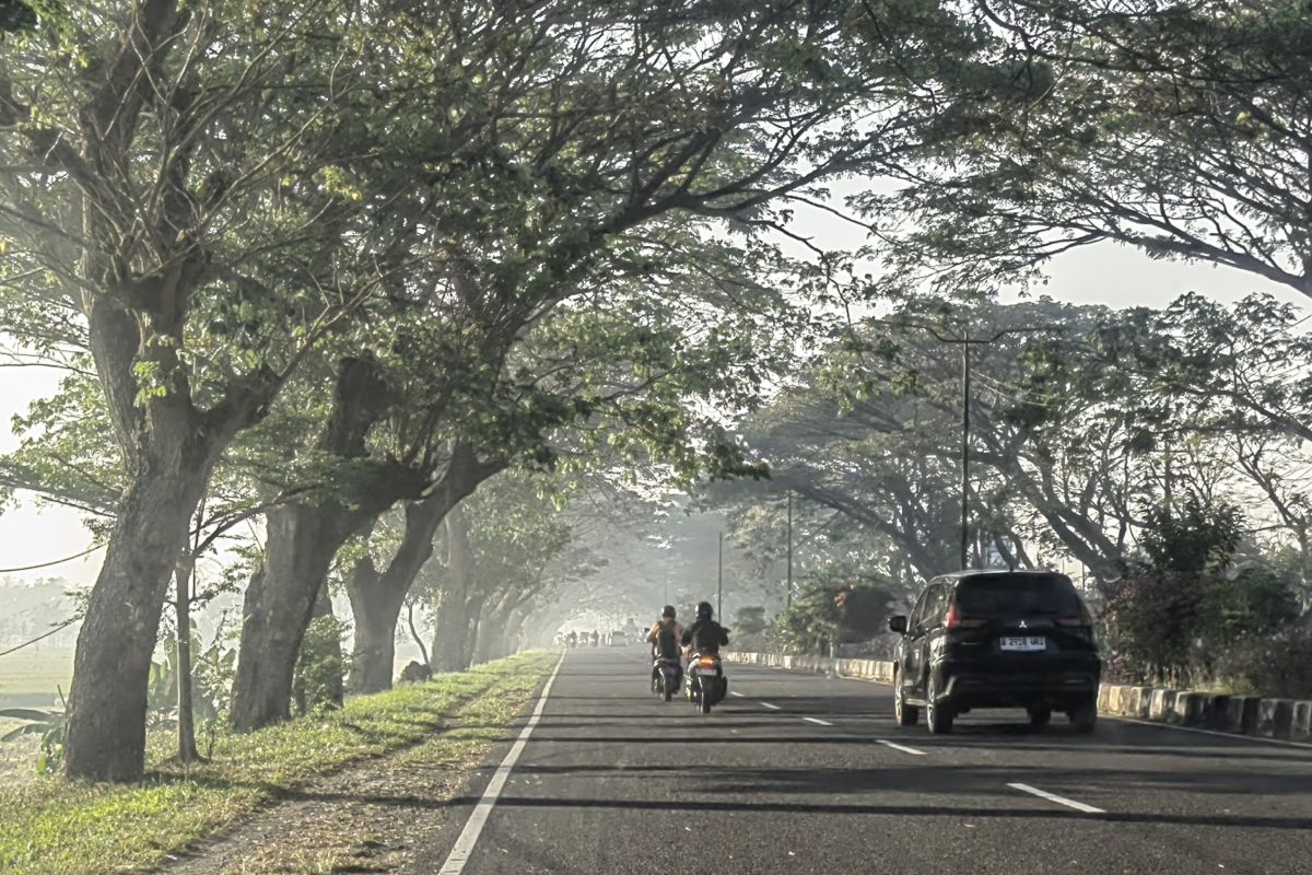 Haze blankets Lombok, NTB, reducing visibility to one kilometre