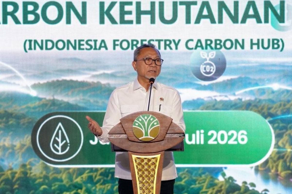 Zulhas: Technical Regulations are the Foundation for Forestry Carbon Trading