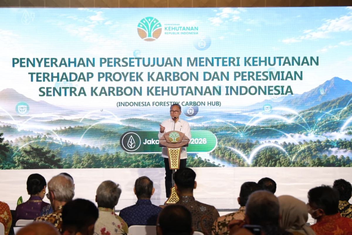 Coordinating Minister for Food: Carbon Market Must Benefit Forest Communities