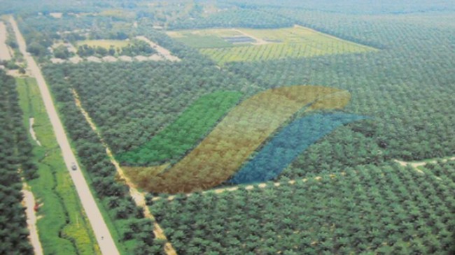 PTPN III Targets 40% Revenue Increase in 2026, but Net Profit Expected to Dip Slightly