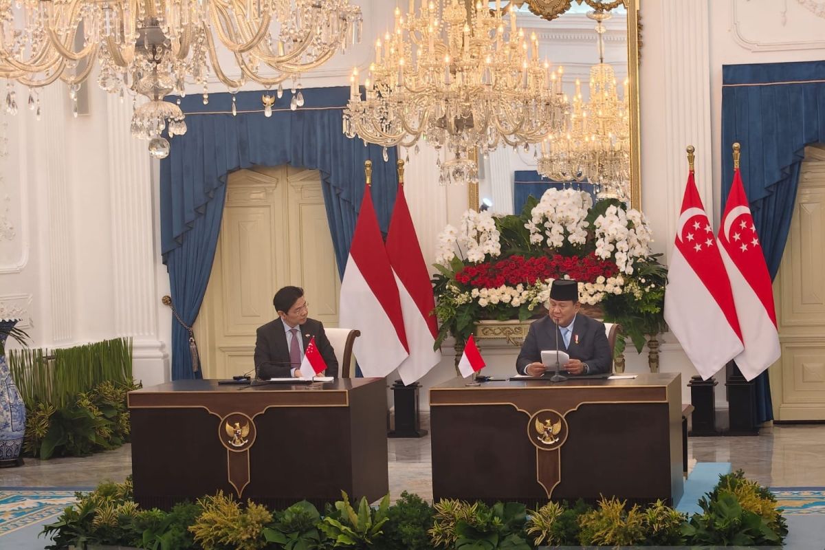 Prabowo assigns Danantara to implement Singapore power deal